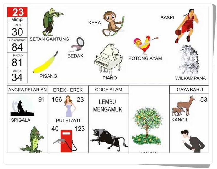 KODEMISTIK NOMOR EREK EREK 23 DI BUKU MIMPI 2D TERLENGKAP